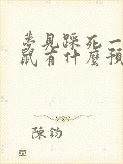 梦见踩死一只老鼠有什么预兆