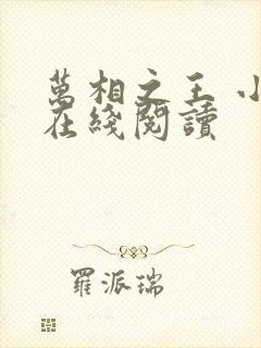 万相之王 小说在线阅读