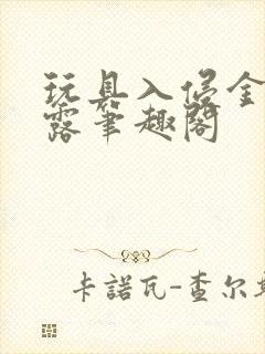 玩具入侵金银花露笔趣阁