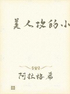 美人攻的小说