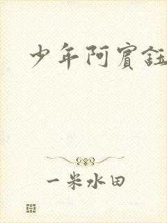 少年阿宾钰慧篇封面