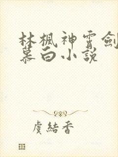 林枫神霄剑宗苏慕白小说