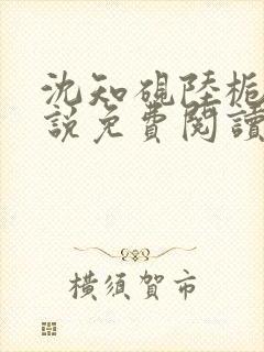 沈知砚陆栀夏小说免费阅读最新章节