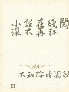 小说在线阅读情深不再许