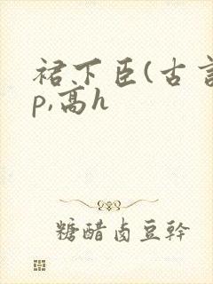裙下臣(古言np,高h