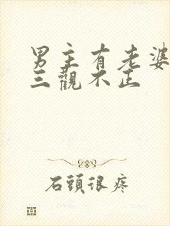 男主有老婆出轨三观不正封面