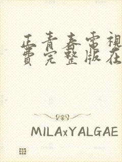 正青春电视剧免费完整版在线观看