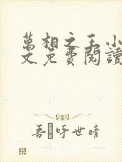 万相之王小说全文免费阅读无弹窗封面