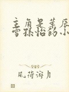 主角是叶辰夏若雪孙怡的小说