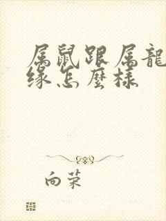 属鼠跟属龙的姻缘怎么样