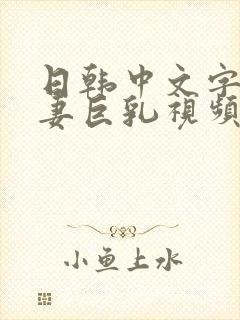 日韩中文字幕人妻巨乳视频