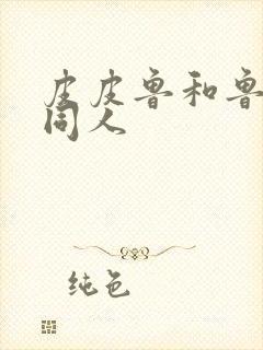 皮皮鲁和鲁西西同人封面