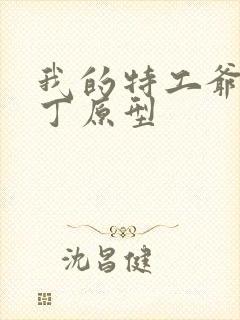 我的特工爷爷老丁原型封面