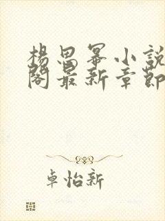 杨思幂小说笔趣阁最新章节封面