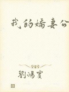 我的娇妻公务员