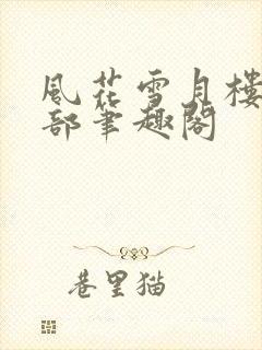 风花雪月楼第二部笔趣阁封面