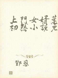 上门女婿叶辰萧初然小说免费阅读无弹窗