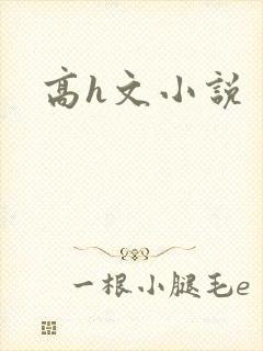 高h文小说封面