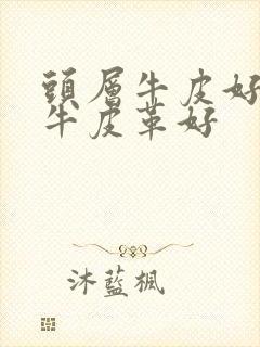 头层牛皮好还是牛皮革好