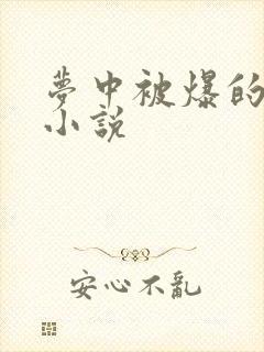梦中被爆的美人小说封面