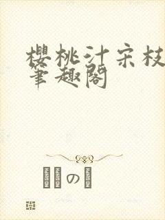 樱桃汁宋枝江野笔趣阁封面