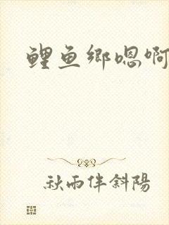 鲤鱼乡嗯啊