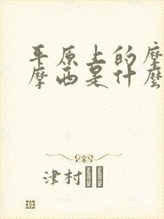 平原上的摩西 摩西是什么意思