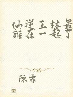 仙逆王林最后和谁在一起了封面