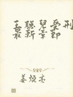 王聪儿受刑小说最新章节封面