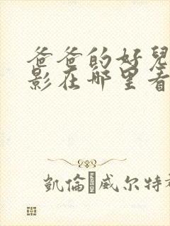 爸爸的好儿子电影在哪里看封面