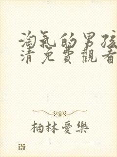 淘气的男孩们高清免费观看