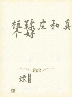 植鞣皮和真皮哪个好