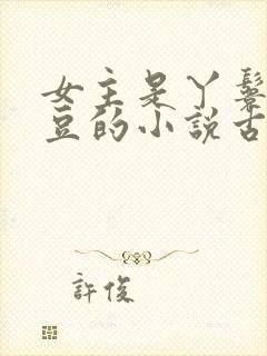 女主是丫鬟叫红豆的小说古言