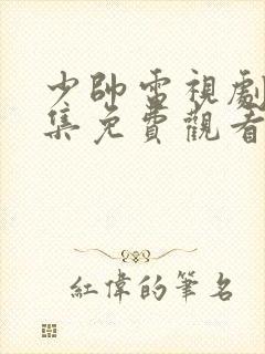 少帅电视剧48集免费观看