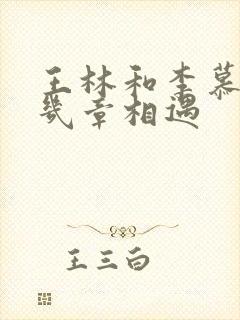 王林和李慕婉第几章相遇