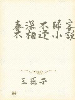 春深不归客清梦不相逢小说