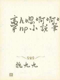 高h嗯啊啊啊快穿np小说笔趣阁