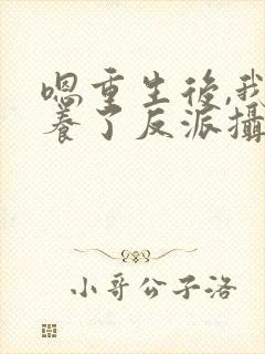 嗯重生后,我娇养了反派摄政王封面