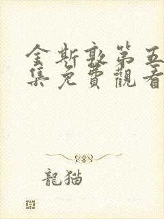 金斯敦第五季全集免费观看封面