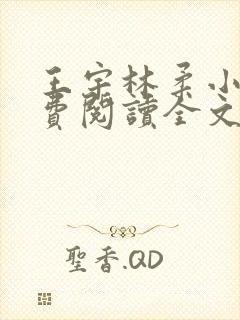 王宇林柔小说免费阅读全文最新章节封面