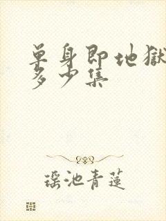 单身即地狱一共多少集