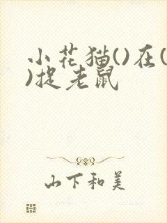 小花猫()在()捉老鼠封面