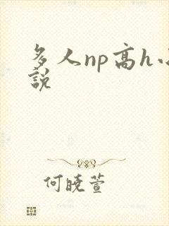 多人np高h小说