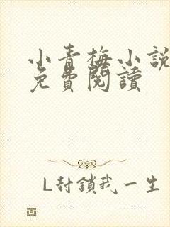 小青梅小说全文免费阅读