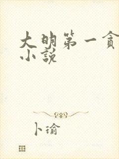 大明第一贪官 小说