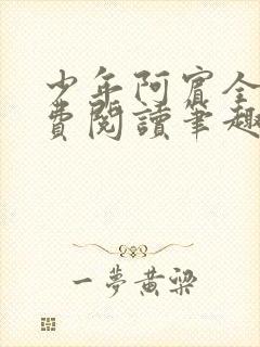 少年阿宾全文免费阅读笔趣阁