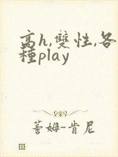 高h,双性,各种play