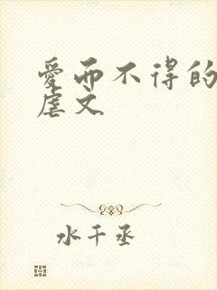 爱而不得的小说虐文