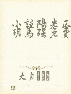 小说阳光正好苏玥马强免费阅读