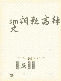 sm调教高辣h文